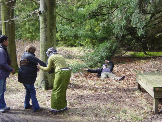 Landmine Simulation