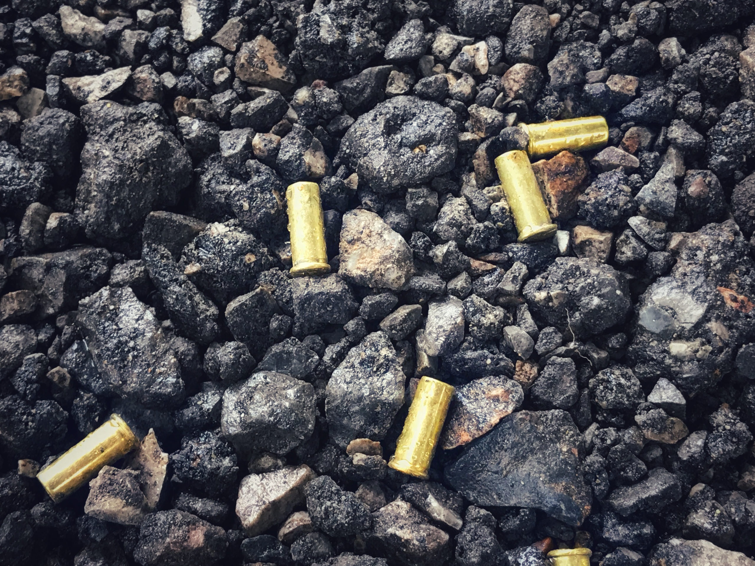 Active Shooter