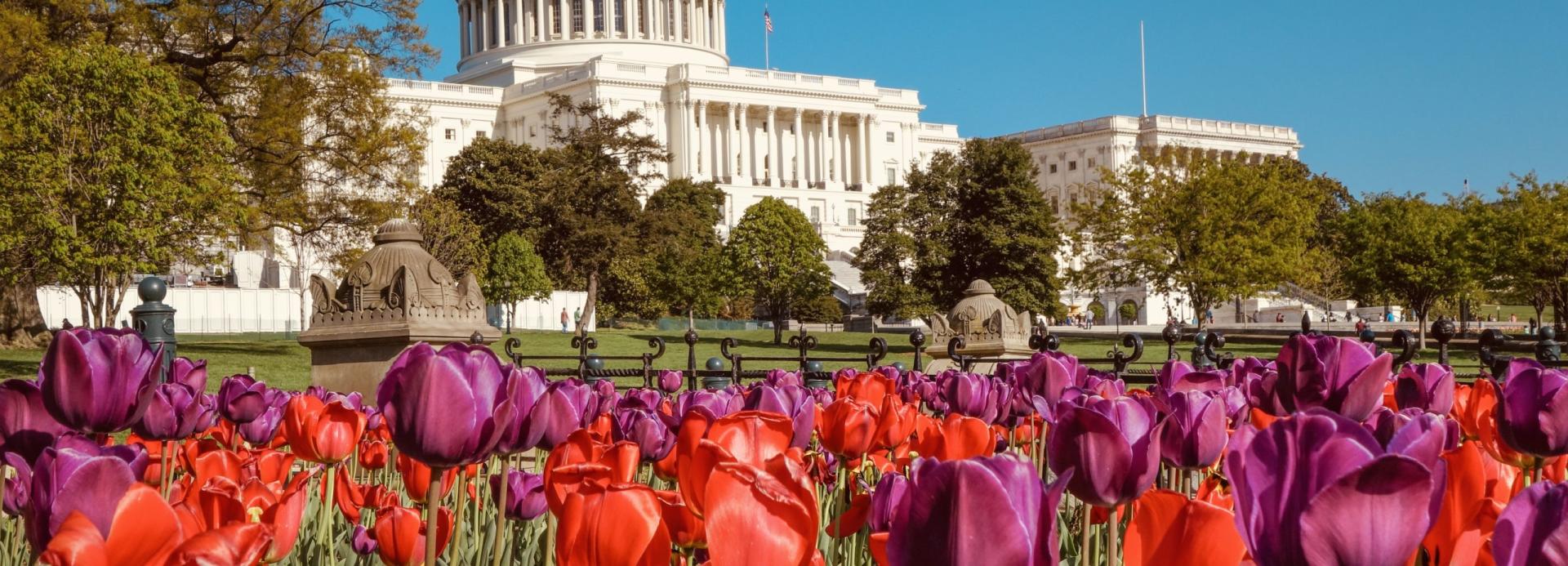 HEAT HUB USA Washington DC